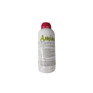 Amino-Natur