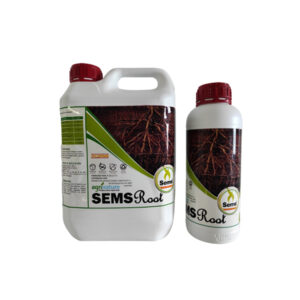 Sems Root