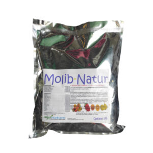 Molib-Natur