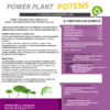 Power Plant Potens - Imagen 2