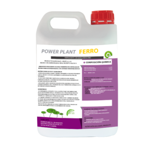 Power Plant Ferro
