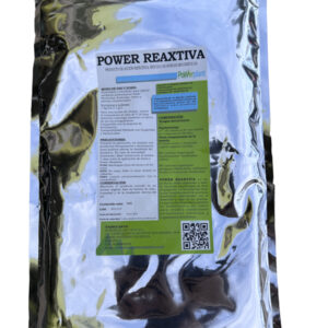 Power Plant Reaxtiva