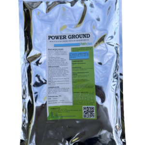 Power Plant Ground