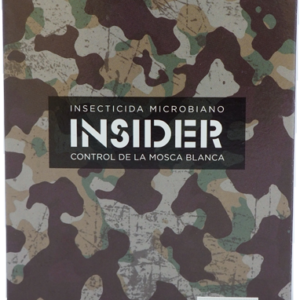 Insider